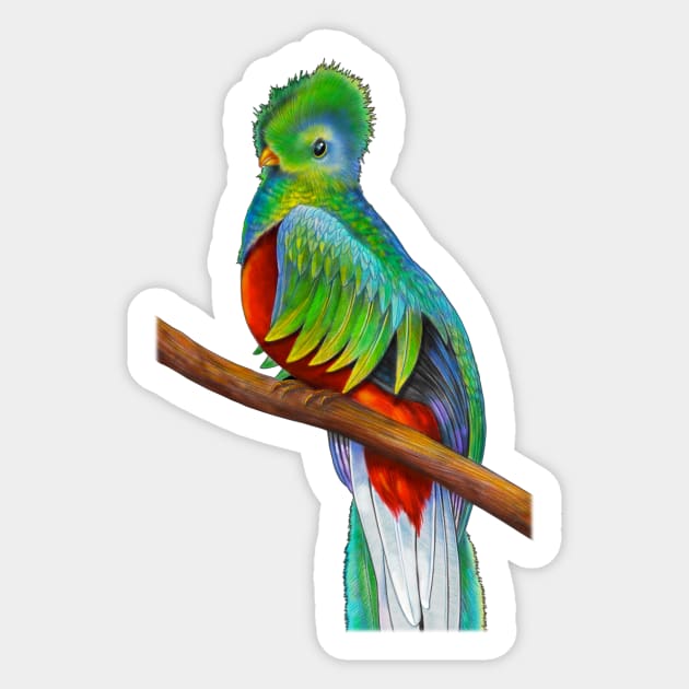 Quetzal Sticker by Tim Jeffs Art